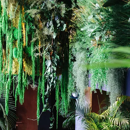 Kube Hotel